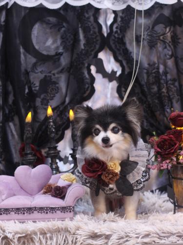 20231020虎ちゃん